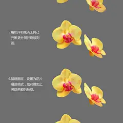 花朵儿花枝绘画教程 板绘 厚涂