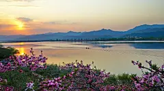~【又是一年桃花开】 ~记录丹东河口桃花开~ - 美篇