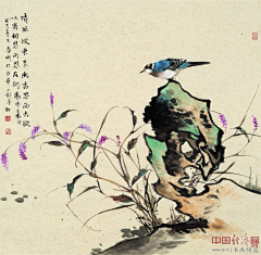无羡WIFI～～～采集到花