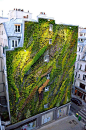 Revealing A Stunning Living Wall: Patrick Blanc’s Work for Paris Design Week: 