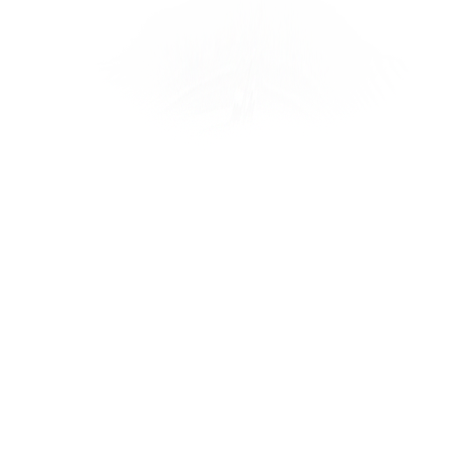 白光2