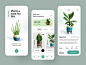 Plant Shop App