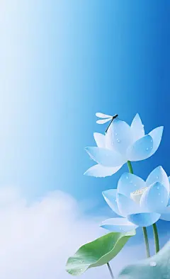 治愈系壁纸—蓝莲花 - 小红书