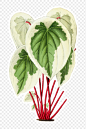 czNmcy1wcml2YXRlL3Jhd3BpeGVsX2ltYWdlcy93ZWJzaXRlX2NvbnRlbnQvcGQ3LTU5MzItamotMDI0YV8xLnBuZw.png (1300×1949)
