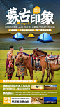 【源文件下载】 海报 旅游 蒙古 草原 星空 蒙古包 马设计作品 设计图集