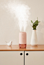 Jisulife Humidifier on Behance