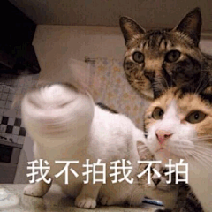 我不！【神烦狗】表情包_我不！【神烦狗】表情包下载_我不！【神烦狗】动态gif表情图-4399聊天表情包大全