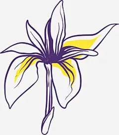 手绘矢量卡通鸢尾花png_图宝宝 https://bao16.com 卡通鸢尾花 矢量鸢尾花 鸢尾花 花朵 美丽花朵 手绘风格