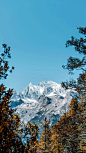 去云杉坪还是玉龙雪山❓我的建议是…