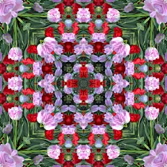 表面郁金香万花筒图案，用于剪贴簿，壁纸，智能手机的案例，web背景，打印，表面纹理，枕头，毛巾，亚麻