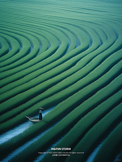 TO原味橙采集到地产/绿色系列