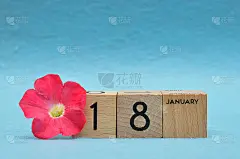 1月18日，在木块上，蓝色背景上有佩妮