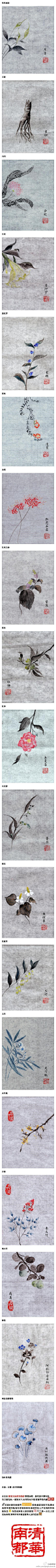 草药闲谈