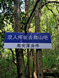 没人疼就去爬山吧