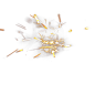 火花 (13)