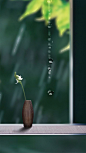 012345_【地产】微信稿 _节气海报采下来 #率叶插件，让花瓣网更好用#