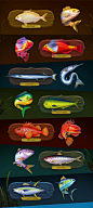 fish fishing fishing game Game Art Game Art Design game design  game ui Games mobile design rival