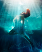 Michael David Adams 唯美浪漫的水下摄影欣赏 自然摄影 海底摄影 水下摄影 旅行日记 国家地理杂志 唯美 