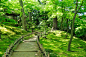 Kenrokuen Japanese Garden 01 by AndySerrano