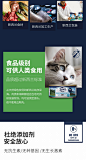 巅峰猫罐头 新西兰进口ZiwiPeak猫粮 猫咪幼猫牛肉羊肉鹿肉主食罐-淘宝网
