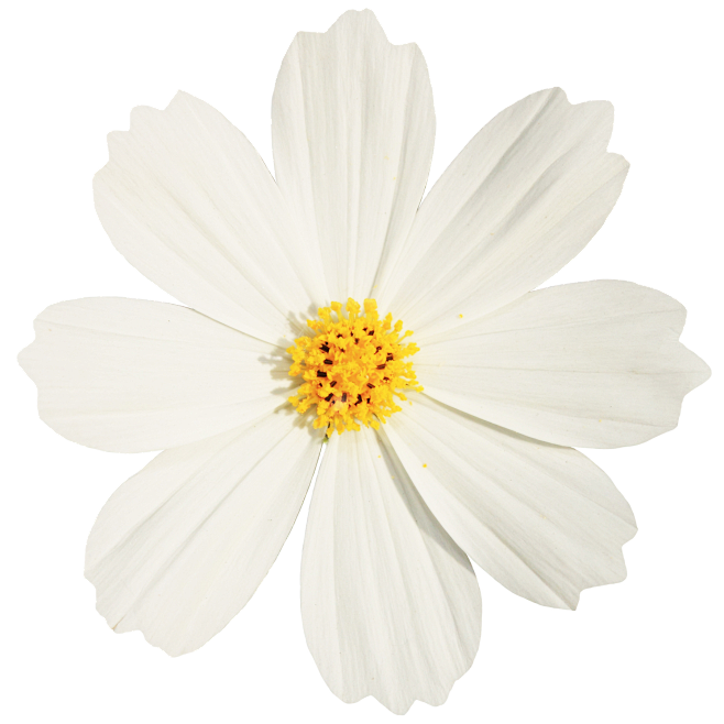 花
