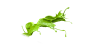 液体泼墨
