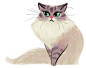 插画师 Heather Nesheim 画笔下的猫咪  |  everydaycat.deviantart.com