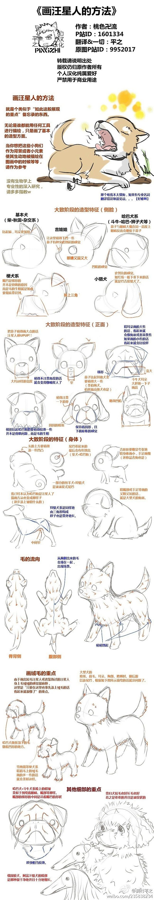 文章-【转载】画汪星人的方法 | 半次元...