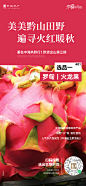 10-16 品牌 农产品调研海报_画板 1 副本 2