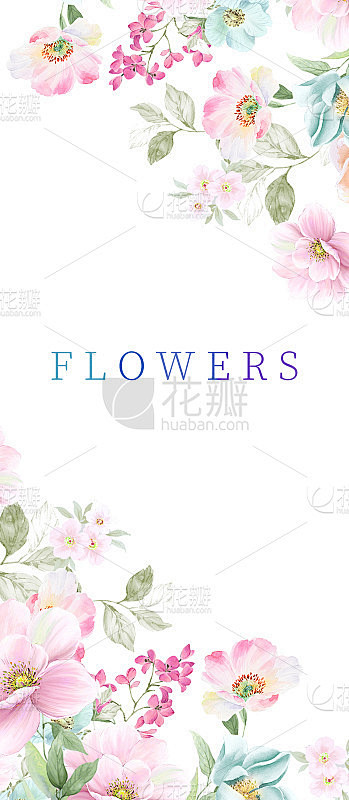 水彩花卉插图
