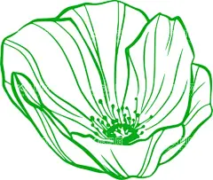 花形状  - 源文件下载【酷图网】花,鲜花,花卉,手绘花卉,手绘花卉框架,线条花,角花,花纹,玫瑰花,太阳花,花苞,花骨朵,花型,花心,花形状,线条画,素描花,花朵