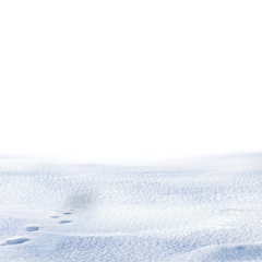 YANMIEZUIE采集到冰块、雪花、雪地素材