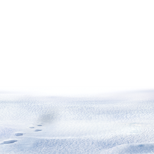 雪地