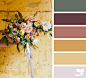 Design Seeds : Design Seeds color palettes ... posted daily for all who love color.