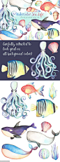 手绘水彩海洋生物设计元素 Watercolor Sea Life Clipart Bundle