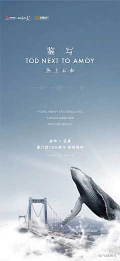 珍妮玛·黛碧采集到热点、热度