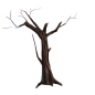 枯树树木枝树干枯枝PNG透明背景免抠图案 PS设计合成素材 (122)