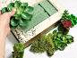 Aleene’s Glue Products | Craft & DIY Project Adhesives - Succulent Book Planter