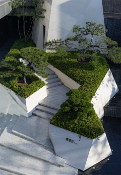 昵称叫做小阳光采集到【种植方式】05-片植