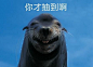 v2-c714d8f6a15653c477422bf04f2cbbd9_hd