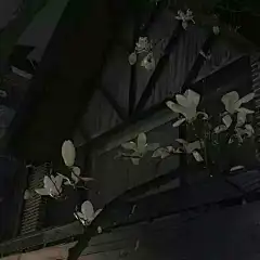女头/身体部位/头像/真人/可爱/动漫/高冷/冷酷/拽/裙摆/小众头像/古风头像/古风男头/古风壁纸