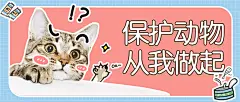 宠物关爱动物禁止虐待公众号首图