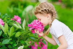 Blonde girl with braided hair smelling pink flower in garden