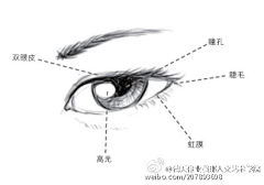 ちくろ采集到线稿