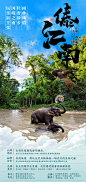 【源文件下载】 海报 旅游 云南 西双版纳 大象 风景 森林 77651