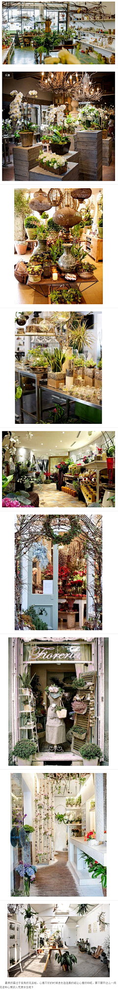 PartyTime采集到花店