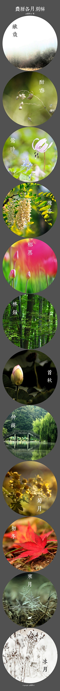 夏至蓝采集到古风