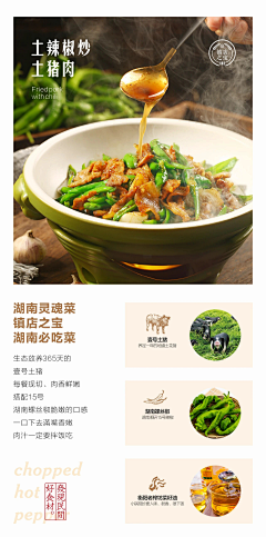 不吃香菜的香菜采集到VI