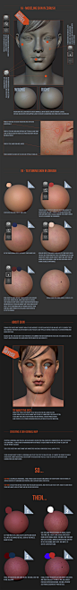 zbrush skin tutorial can probably be applied to c4d models.: 