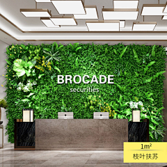 TinaOne采集到绿植美陈